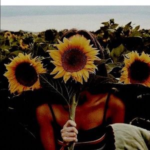 Meet your Posher, Alexa